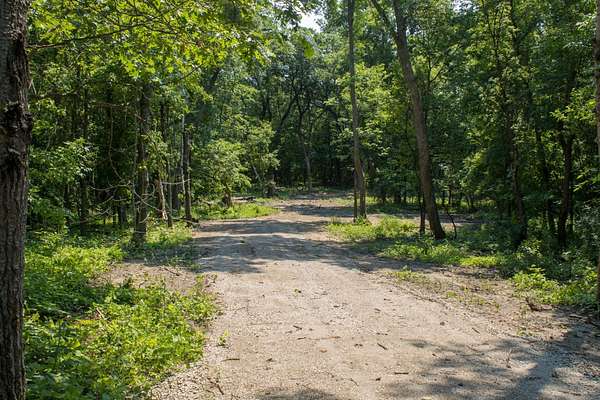 5.38 Acres of Residential Land for Sale in South Haven, Minnesota