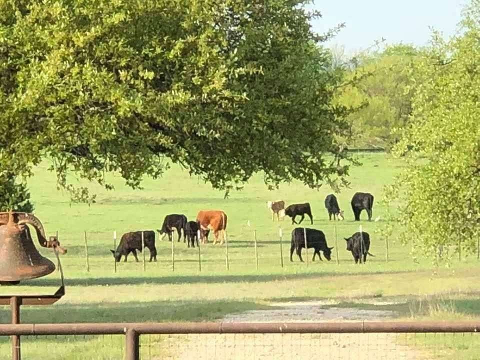 426 Acres of Land with Home for Sale in Walnut Springs, Texas