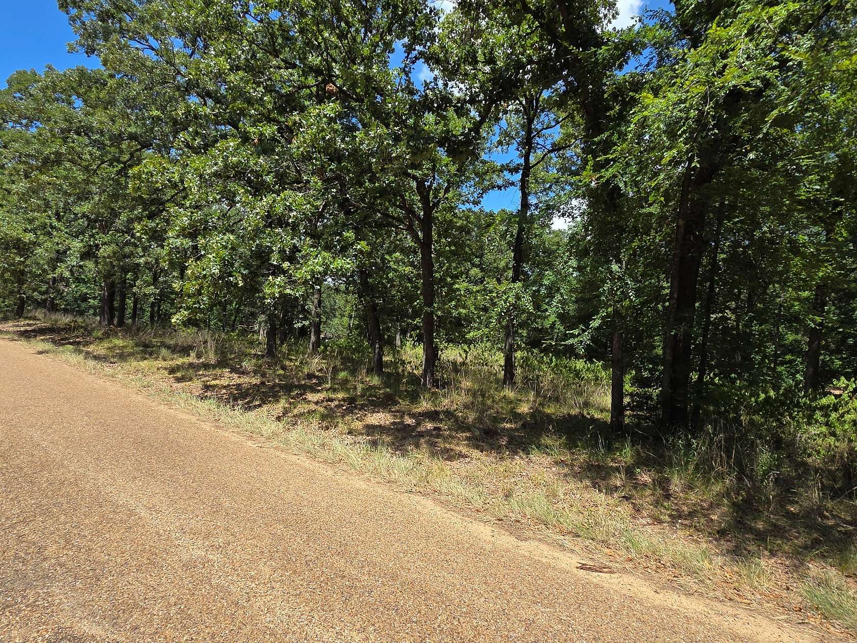 0.28 Acres of Residential Land for Sale in Mabank, Texas