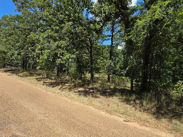 0.28 Acres of Residential Land for Sale in Mabank, Texas