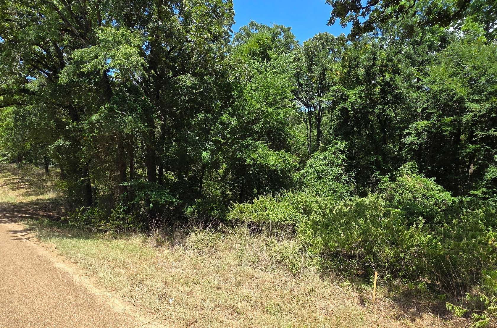 0.28 Acres of Residential Land for Sale in Mabank, Texas