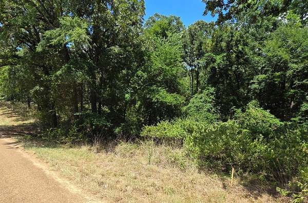 0.28 Acres of Residential Land for Sale in Mabank, Texas