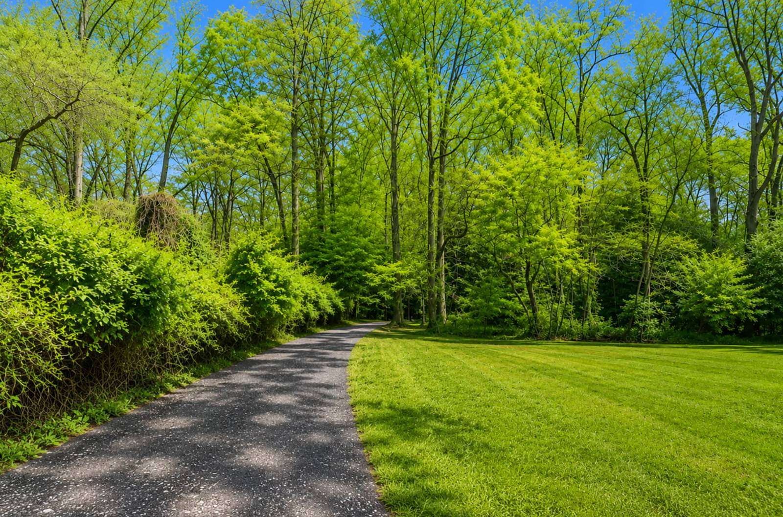 0.37 Acres of Residential Land for Auction in Lorton, Virginia