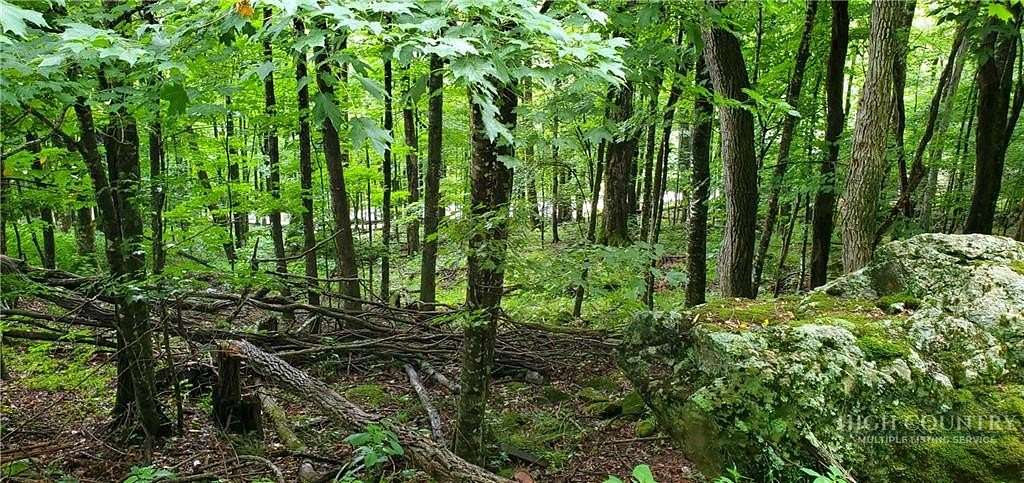 0.33 Acres of Land for Sale in Seven Devils, North Carolina