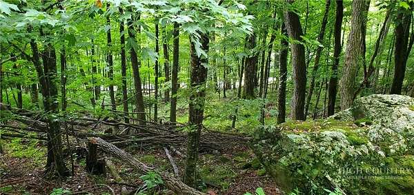 0.33 Acres of Land for Sale in Seven Devils, North Carolina