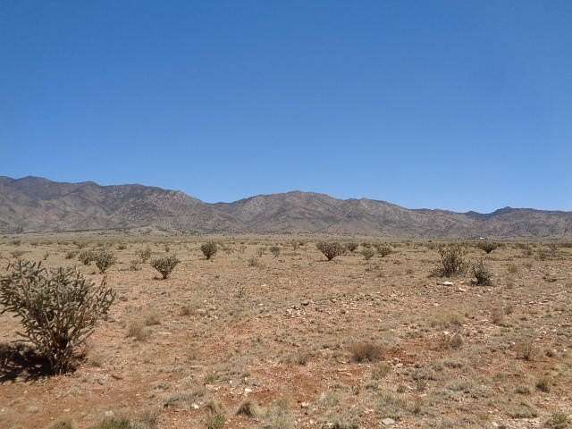 20 Acres of Land for Sale in Belen, New Mexico