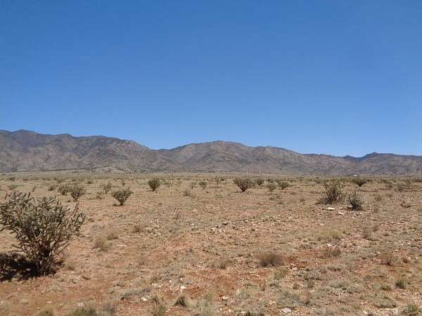 20 Acres of Land for Sale in Belen, New Mexico