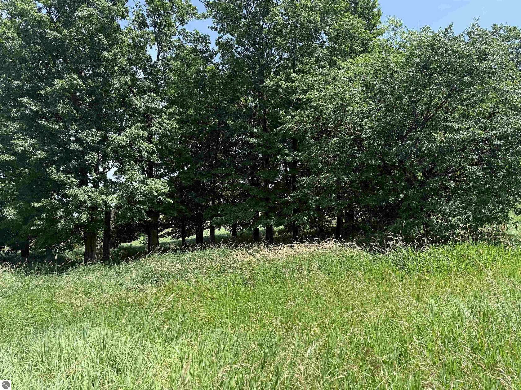 2.5 Acres of Residential Land for Sale in McBain, Michigan