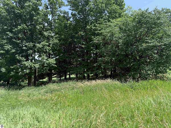 2.5 Acres of Residential Land for Sale in McBain, Michigan