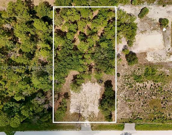 1 Acre of Residential Land for Sale in Clewiston, Florida