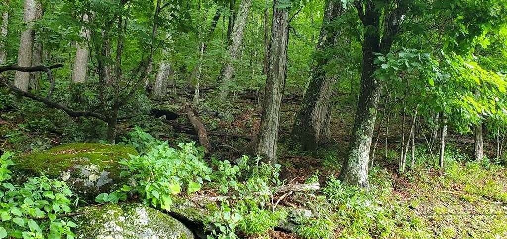 0.3 Acres of Land for Sale in Seven Devils, North Carolina