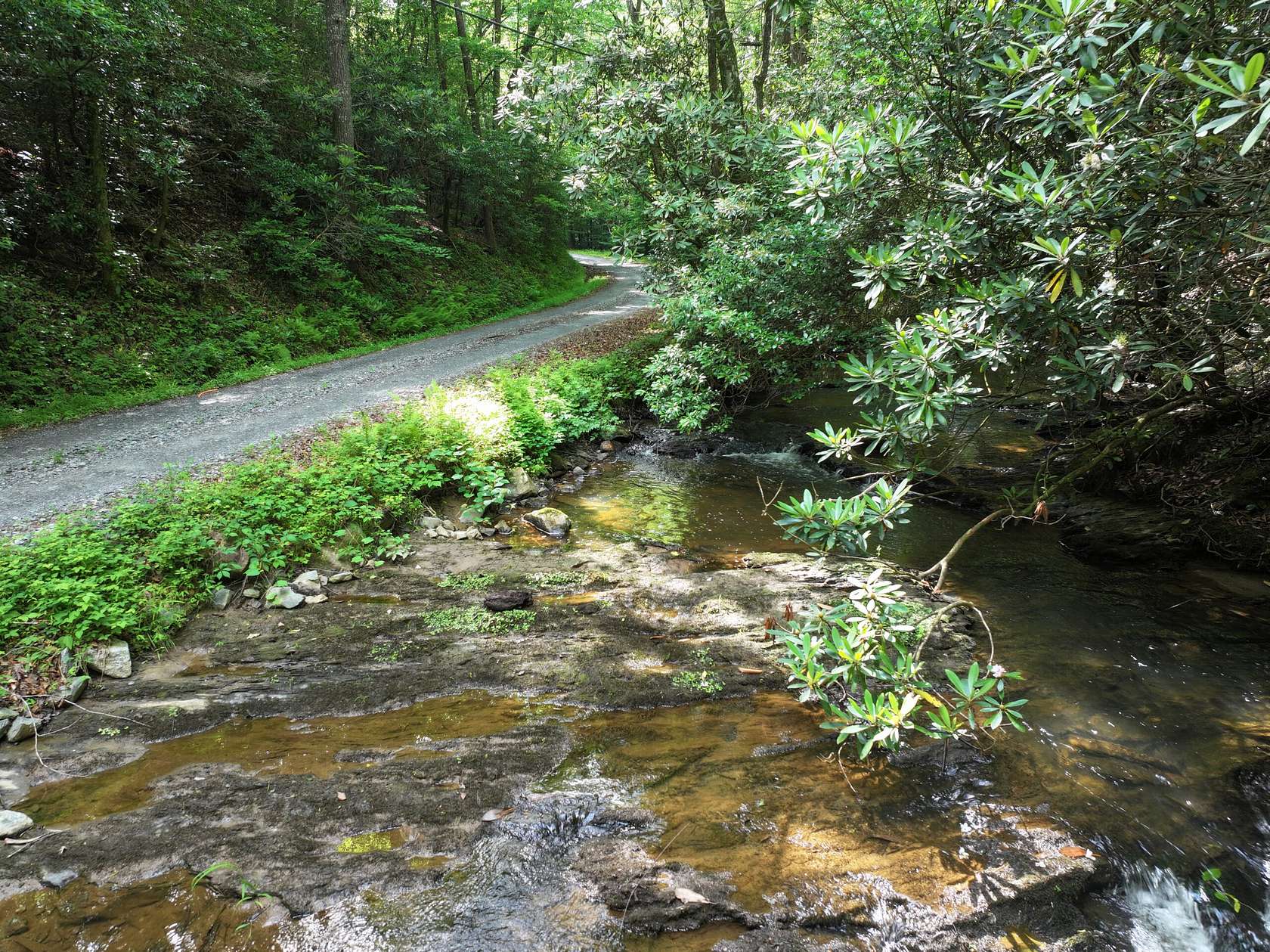 152 Acres of Land for Sale in Ellijay, Georgia