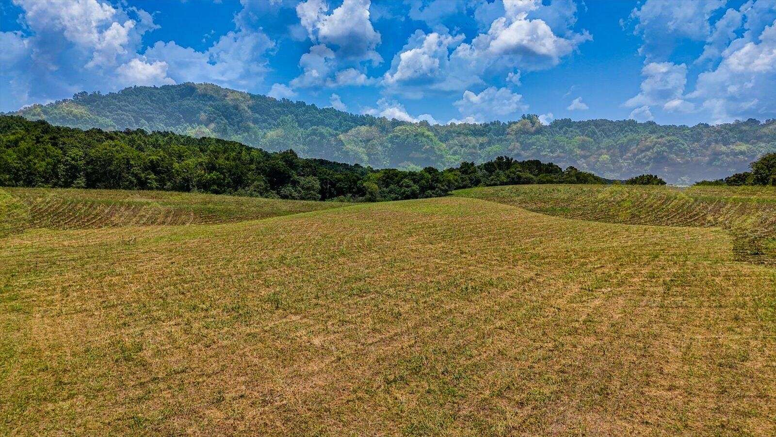 63.2 Acres of Agricultural & Residential Land for Sale in Cleveland, Tennessee