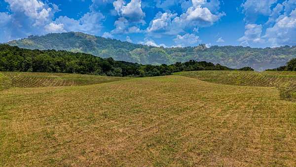 63.2 Acres of Agricultural & Residential Land for Sale in Cleveland, Tennessee
