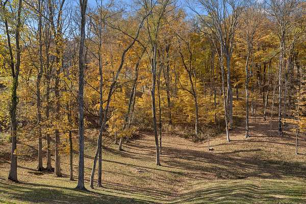 0.98 Acres of Residential Land for Sale in Brentwood, Tennessee