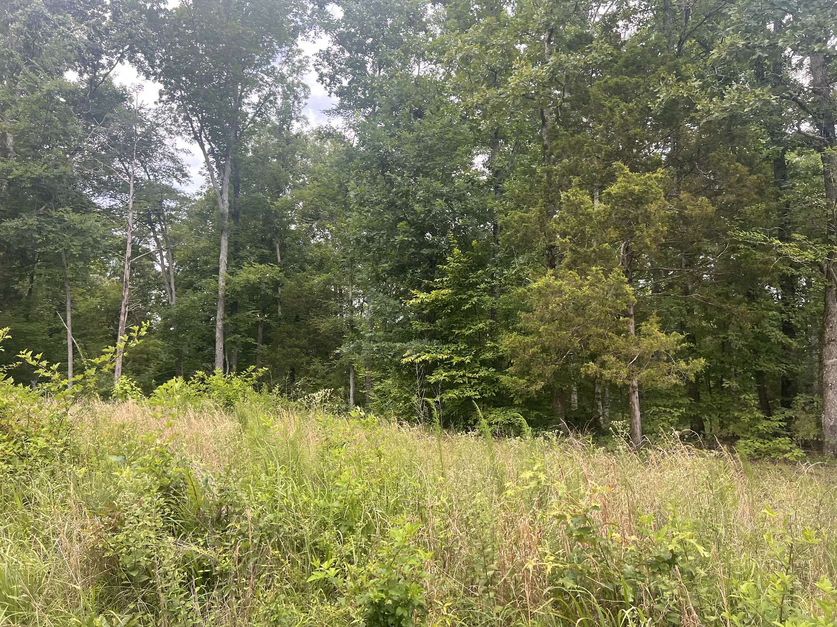 0.53 Acres of Residential Land for Sale in Linden, Tennessee