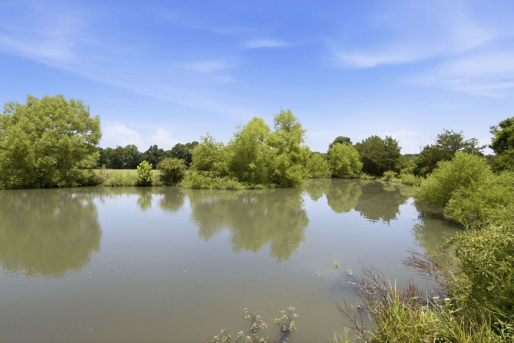 246 Acres of Land for Sale in Shelbyville, Tennessee