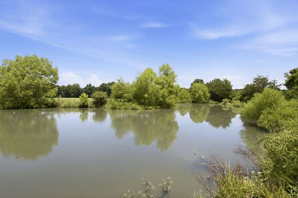 246 Acres of Land for Sale in Shelbyville, Tennessee