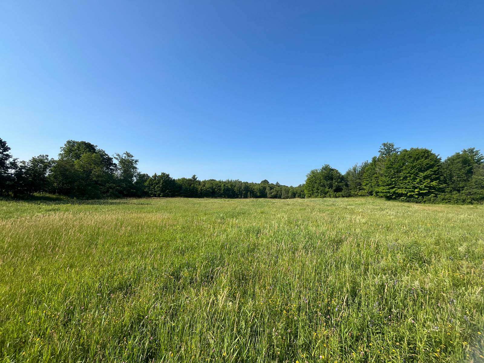 125 Acres of Land for Sale in Antwerp, New York