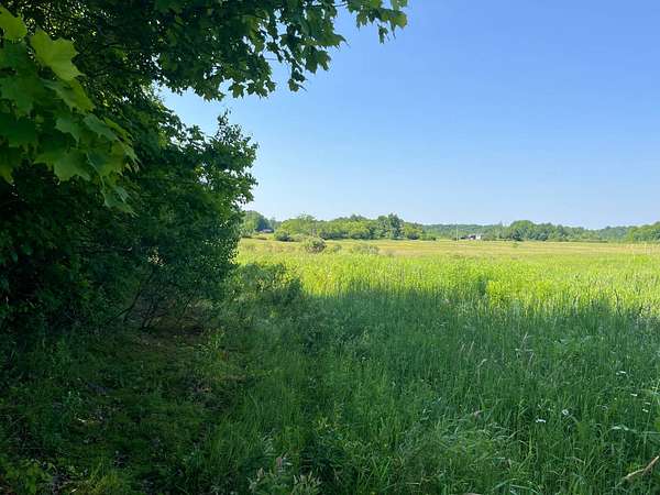 16.2 Acres of Recreational & Residential Land for Sale in Antwerp, New York