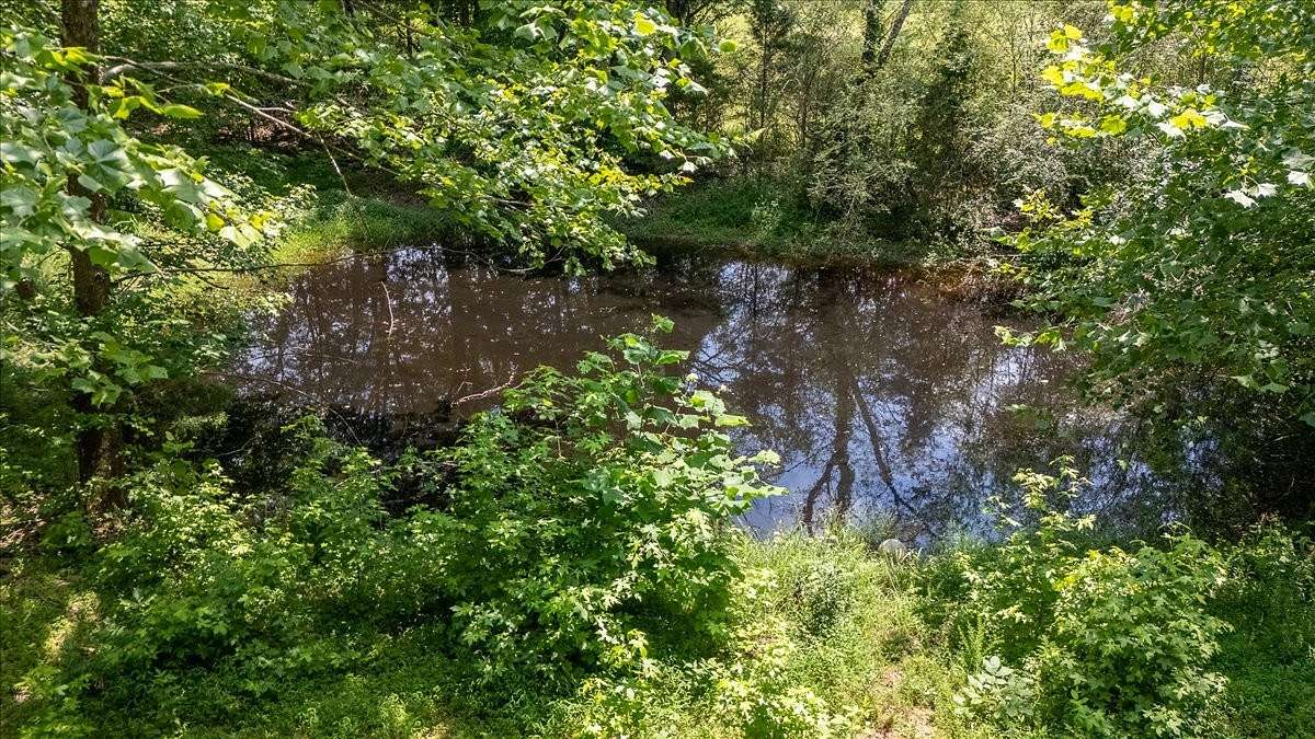 12.2 Acres of Recreational & Residential Land for Sale in Leoma, Tennessee