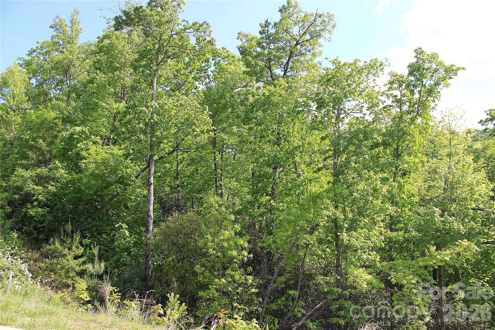 0.17 Acres of Residential Land for Sale in Hendersonville, North Carolina