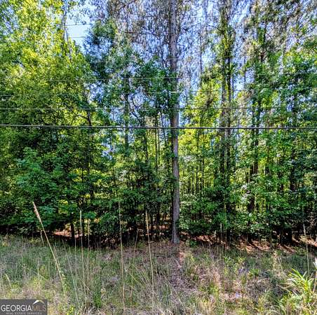 1.86 Acres of Residential Land for Sale in Sparta, Georgia