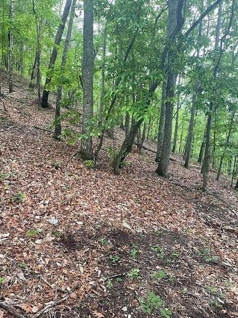 4.44 Acres of Residential Land for Sale in Ranger, Georgia