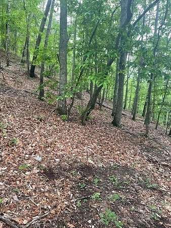 4.44 Acres of Residential Land for Sale in Ranger, Georgia