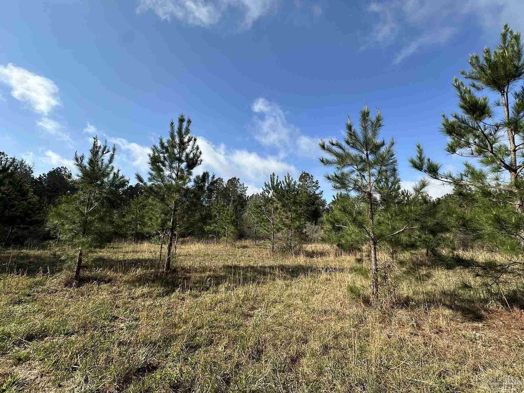 7 Acres of Land for Sale in Frisco City, Alabama