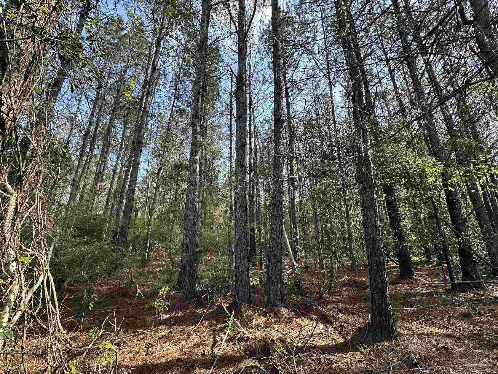 1.1 Acres of Land for Sale in Frisco City, Alabama