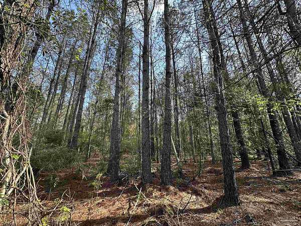 1.1 Acres of Land for Sale in Frisco City, Alabama