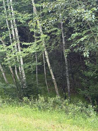 1.89 Acres of Residential Land for Sale in Lakewood, Wisconsin