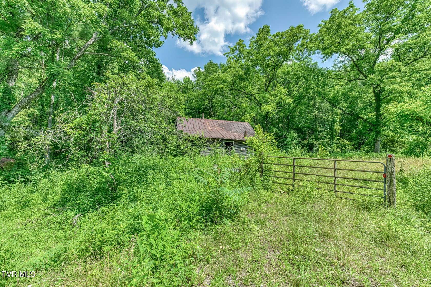 41.1 Acres of Land for Sale in Elizabethton, Tennessee
