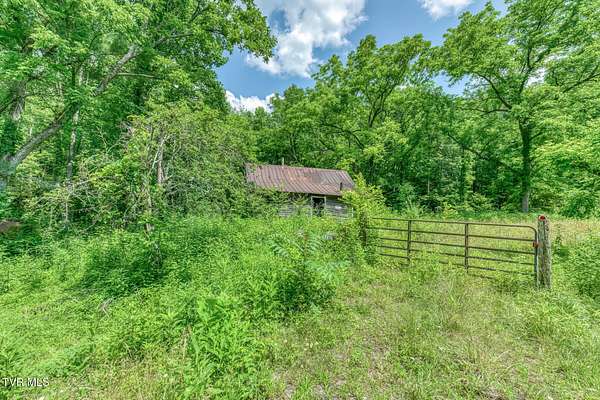 41.1 Acres of Land for Sale in Elizabethton, Tennessee