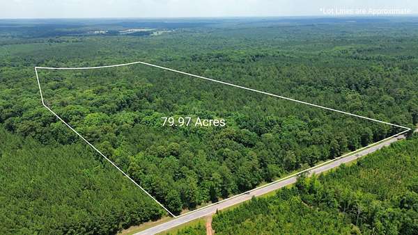 80 Acres of Land for Sale in Union Point, Georgia