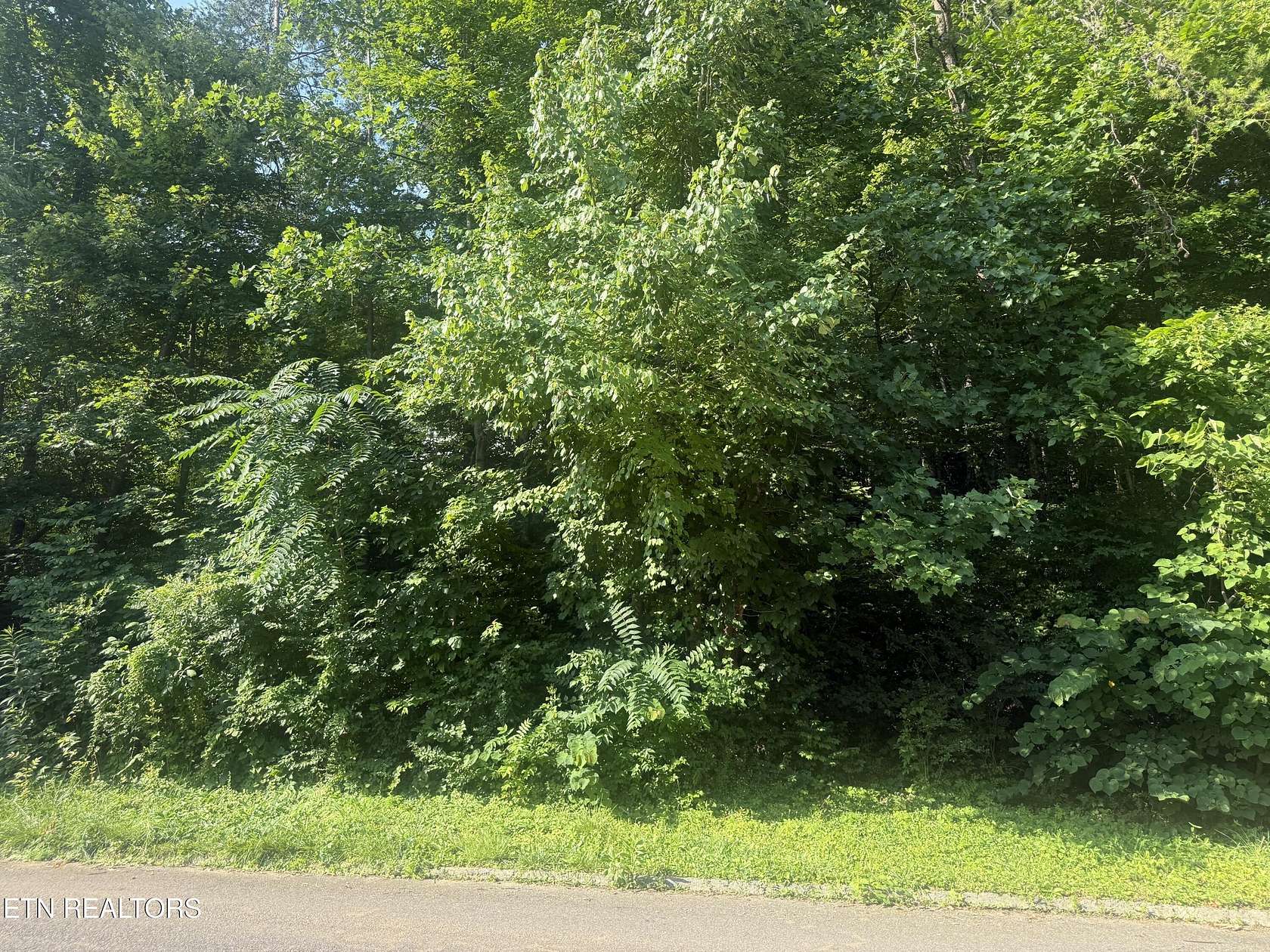 0.45 Acres of Residential Land for Sale in Knoxville, Tennessee