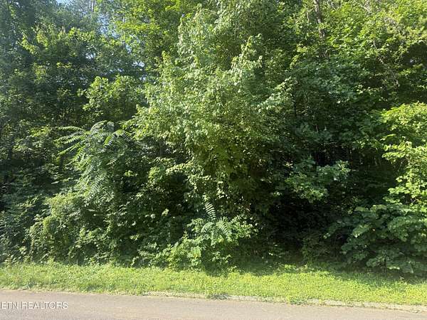 0.45 Acres of Residential Land for Sale in Knoxville, Tennessee