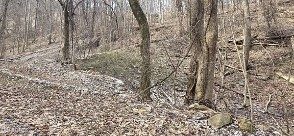 0.7 Acres of Residential Land for Sale in Sevierville, Tennessee