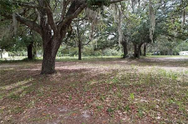 1 Acre of Residential Land for Sale in Homosassa, Florida