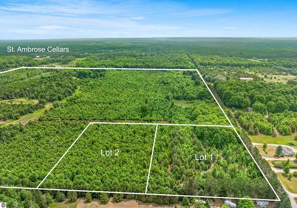 10 Acres of Recreational Land for Sale in Benzonia, Michigan