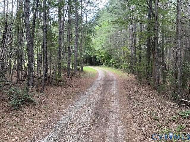 90 Acres of Recreational & Residential Land for Sale in Amelia Court House, Virginia