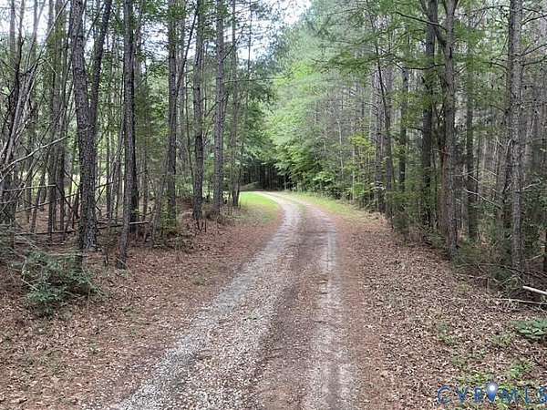 90 Acres of Recreational & Residential Land for Sale in Amelia Court House, Virginia