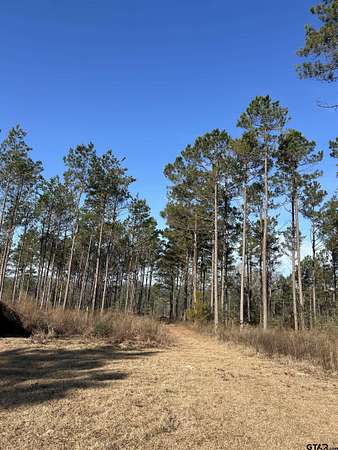 37.7 Acres of Land with Home for Sale in Rusk, Texas