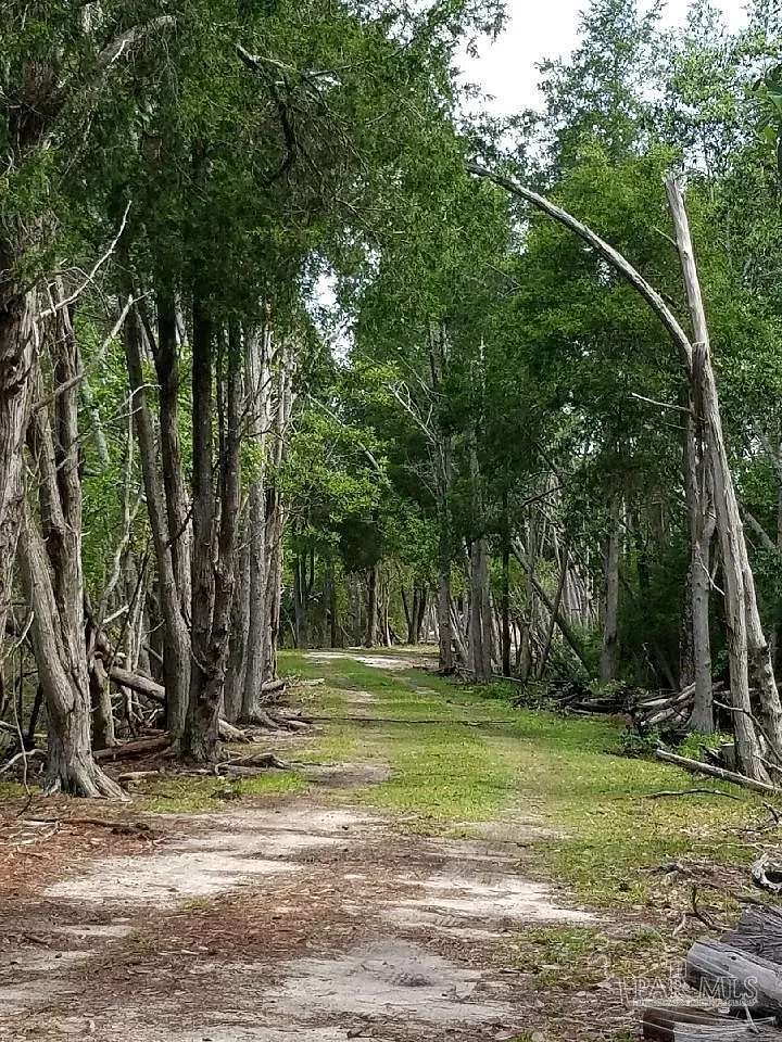 113 Acres of Land for Sale in Milton, Florida