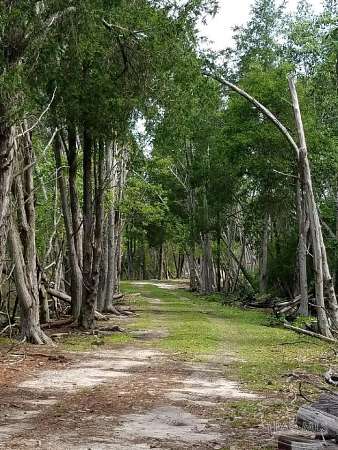 113 Acres of Land for Sale in Milton, Florida
