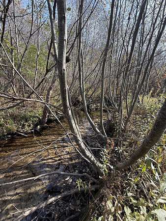 24.3 Acres of Recreational & Residential Land for Sale in Rumford, Maine