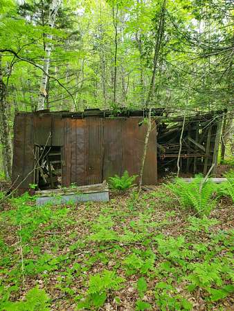 32.1 Acres of Recreational & Residential Land for Sale in Barton, Vermont