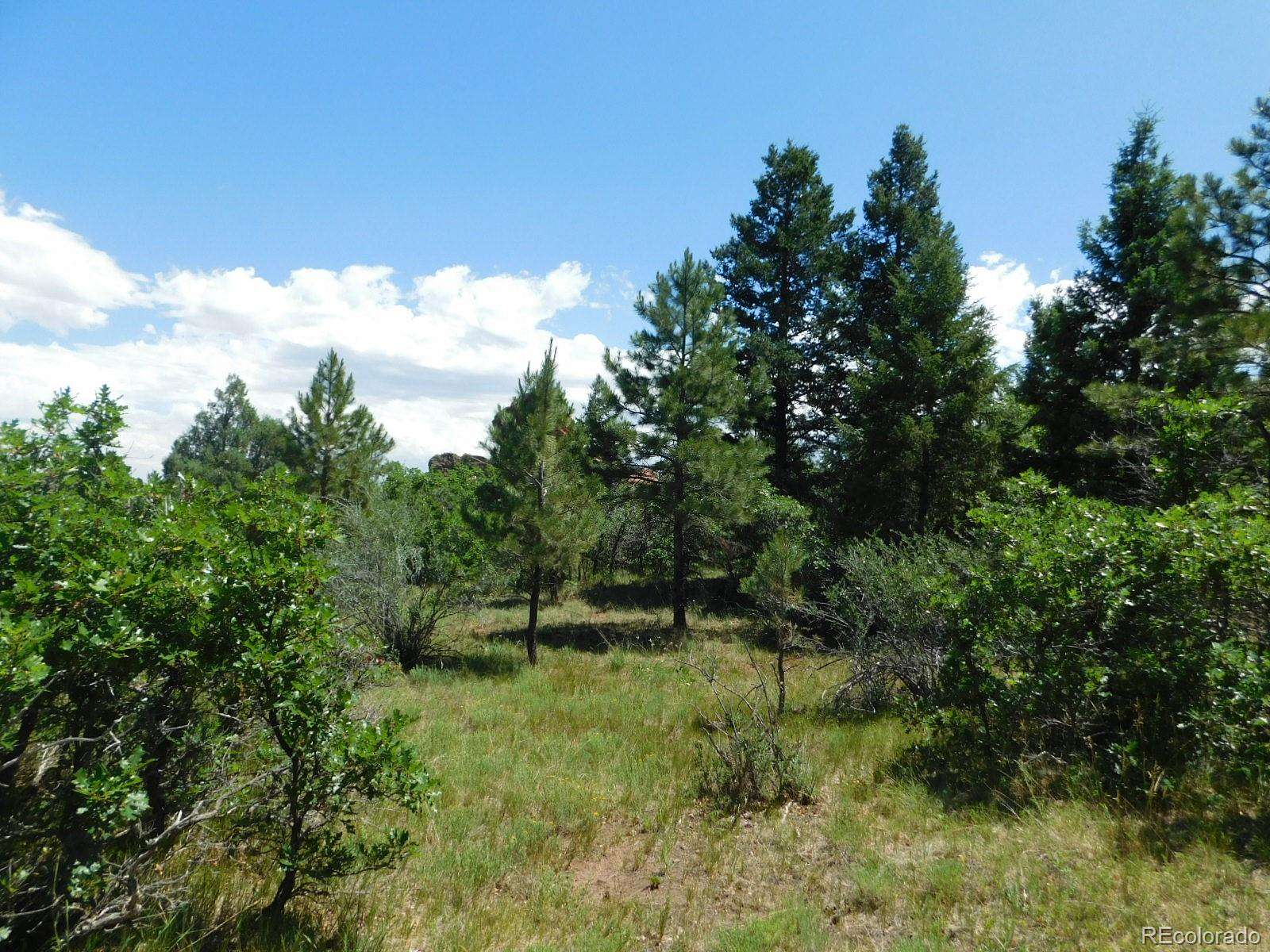 1 Acre of Residential Land for Sale in Larkspur, Colorado