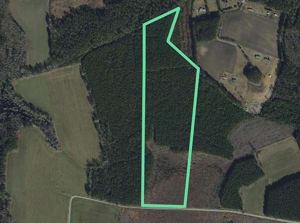 27.5 Acres of Land for Sale in Green Sea, South Carolina